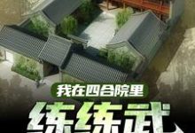 林长青小说《我在四合院里练练武,搞科研》在线阅读-红梅文学