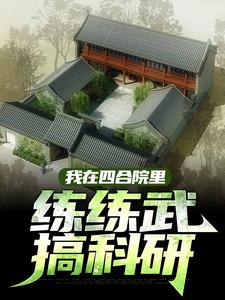 林长青小说《我在四合院里练练武，搞科研》在线阅读