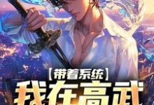 求推荐可以免费阅读带着系统,我在高武天赋满级小说的网站-红梅文学