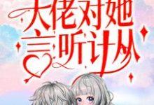 小说《闪婚后,大佬对她言听计从》章节免费阅读-红梅文学
