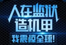 人在监狱造机甲,我震惊全球!免费阅读,人在监狱造机甲,我震惊全球!章节目录-红梅文学