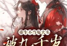 主角叶知笙裴观小说重生不当冤大头,被九千岁提亲了免费阅读-红梅文学