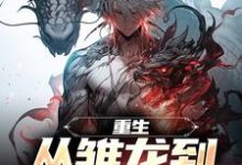 季临小说在线章节免费阅读(重生:从雏龙到寰宇之王无弹窗无删减)-红梅文学