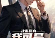 求社畜翻身:我可是顶级权贵小说免费资源-红梅文学