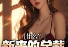 安泽一冷夕颜的故事在哪本书里?免费阅读什么?新来的总裁是我未婚妻-红梅文学