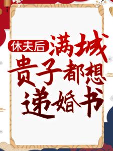 主人公沈宁小说休夫后，满城贵子都想递婚书在线章节阅读