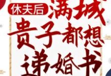 沈宁小说在线章节免费阅读(休夫后,满城贵子都想递婚书无弹窗无删减)-红梅文学