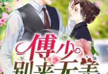 《傅少,别来无恙》小说章节在线试读,《傅少,别来无恙》最新章节目录-红梅文学