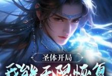 李玄汐是哪本书的主角?寻找圣体开局,我能无限恢复自身能力免费阅读-红梅文学