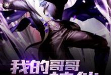 完结版《我的哥哥是神仙》章节目录在线阅读-红梅文学