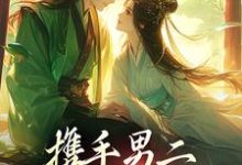 携手男二,我们驰骋官场小说有没有完整的免费版本在线阅读?-红梅文学