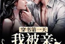 叶芙悦沈尧小说在哪里可以看-红梅文学