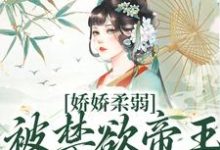 在线寻找娇娇柔弱,被禁欲帝王强制囚宠小说的无删减版本-红梅文学