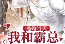 逃婚当天,我和霸总灵魂互换免费阅读,逃婚当天,我和霸总灵魂互换章节在线阅读-红梅文学