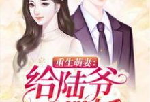 已完结小说《重生萌妻:给陆爷撒撒娇》章节免费阅读-红梅文学