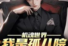 机魂世界:我是孤儿院的守护神小说,机魂世界:我是孤儿院的守护神萧海歌-红梅文学
