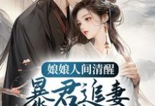 娘娘人间清醒,暴君追妻火葬场小说全文哪里可以免费看?-红梅文学