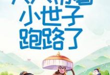 首辅大人不好了！夫人带着小世子跑路了小说的最新章节在哪里更新？免费追踪阅读-红梅文学