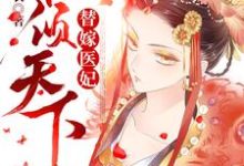 替嫁医妃权倾天下小说，替嫁医妃权倾天下在线阅读-红梅文学