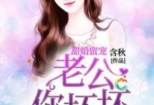 《甜婚蜜宠:老公你坏坏》全集免费在线阅读(邵芳菲邵云云)-红梅文学