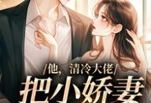 他,清冷大佬,把小娇妻宠成宝小说完结版章节免费阅读-红梅文学