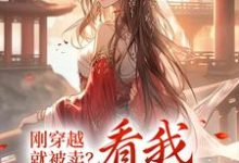 哪里能找到刚穿越,就被卖?看我逆袭人生小说的全部章节?-红梅文学
