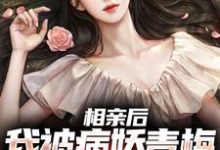 江俞小说相亲后,我被病娇青梅强势占有在线阅读章节-红梅文学