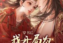 《穿书后,我开局为反派皇帝挡箭》小说章节列表免费试读,苏星禾小说在线阅读-红梅文学