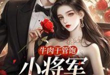 牛肉干管饱,小将军主动入赘小说,牛肉干管饱,小将军主动入赘章节在线阅读-红梅文学