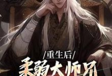 完结版《重生后,柔弱大师兄变成冷面修罗了》章节目录在线阅读-红梅文学