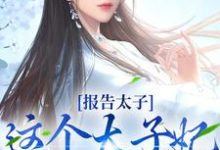报告太子:这个太子妃好眼熟沈骊珠李延玺小说在线章节免费阅读-红梅文学