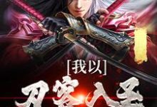 小说《我以刀客入圣,镇压诸天!》在线章节阅读-红梅文学