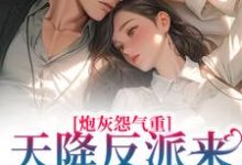 炮灰怨气重!天降反派来惩戒男主了小说阅读,炮灰怨气重!天降反派来惩戒男主了完结版-红梅文学