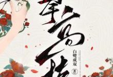 攀高枝免费阅读,攀高枝章节目录-红梅文学
