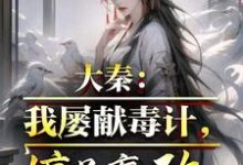 在线免费阅读大秦:我屡献毒计,惊呆嬴政完整小说-红梅文学