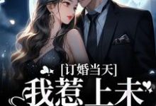 订婚当天，我惹上未婚夫小叔顾彦礼南乔季书宇小说免费阅读-红梅文学