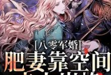 凌瑶陆青云小说叫什么(八零军婚:肥妻靠空间走上巅峰免费阅读)-红梅文学