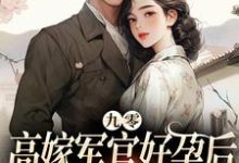九零高嫁军官好孕后,前夫红了眼小说,九零高嫁军官好孕后,前夫红了眼沈宝英韩闯-红梅文学