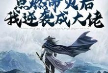 辅助角色:点燃命火后我逆袭成大佬小说,辅助角色:点燃命火后我逆袭成大佬在线阅读-红梅文学