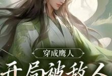 穿成鹰人,开局被敌人追着打小说阅读,穿成鹰人,开局被敌人追着打完结版-红梅文学