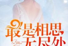 顾晚陆景琛小说叫什么(最是相思无尽处免费阅读)-红梅文学