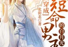 小说《穿成短命男主的白月光》在线章节阅读-红梅文学