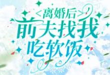 离婚后,前夫找我吃软饭最新章节,离婚后,前夫找我吃软饭免费阅读-红梅文学