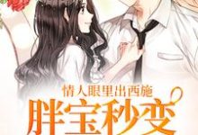 小说《情人眼里出西施,胖宝秒变冷艳辣妻》章节免费阅读-红梅文学