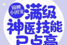小说《锦鲤小团宠:满级神医技能已点亮》章节阅读-红梅文学