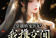 寻找穿越娇宠医妃:我携空间秒杀太医院小说的最新更新章节-红梅文学