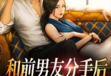 小说《和前男友分手后,招惹上他弟弟》在线章节阅读-红梅文学