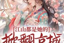 小说《江山都是她的,掀翻京城又如何?》在线章节阅读-红梅文学