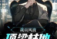 求裁员风波:顶梁柱他创业成功了小说的全文免费阅读链接-红梅文学