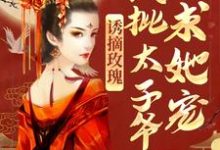 诱摘玫瑰,疯批太子爷求她宠小说最新章节在哪里可以读到?-红梅文学